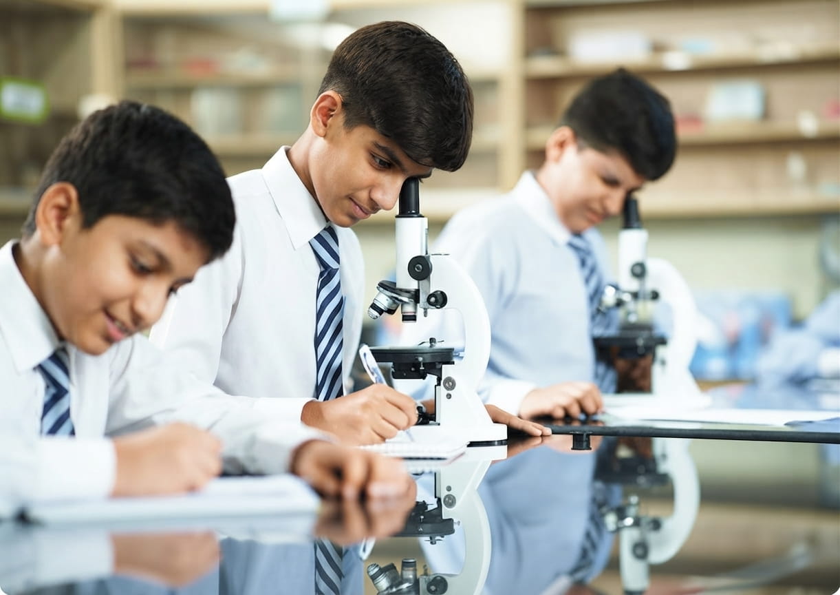 Complete Educational Journey